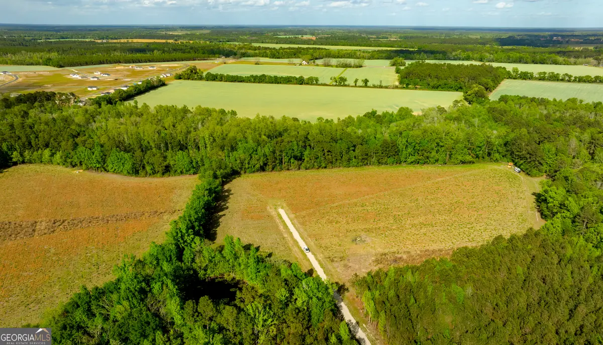 10.6 ACRES Lot 3 - Siesta Lane, Statesboro, GA 30458 - #1