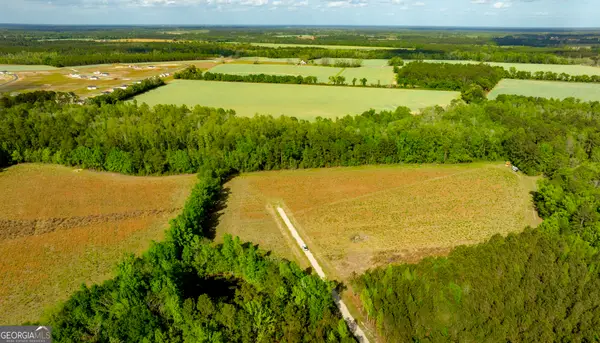 10.6 ACRES Lot 3 - Siesta Lane, Statesboro, GA 30458