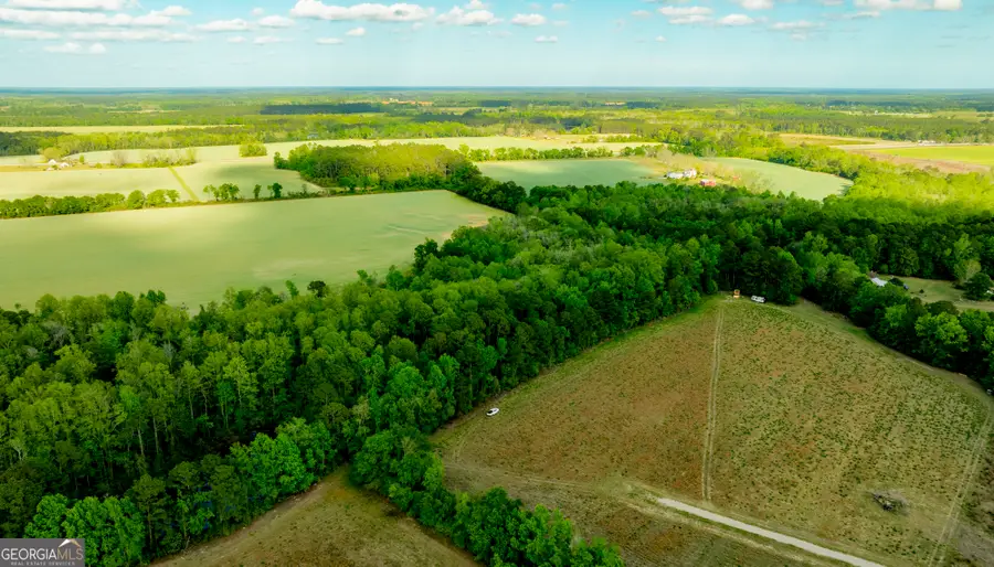 10.6 ACRES Lot 3 - Siesta Lane, Statesboro, GA 30458 - #3