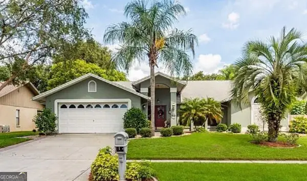 3009 Starmount Drive, Valrico, FL 33596