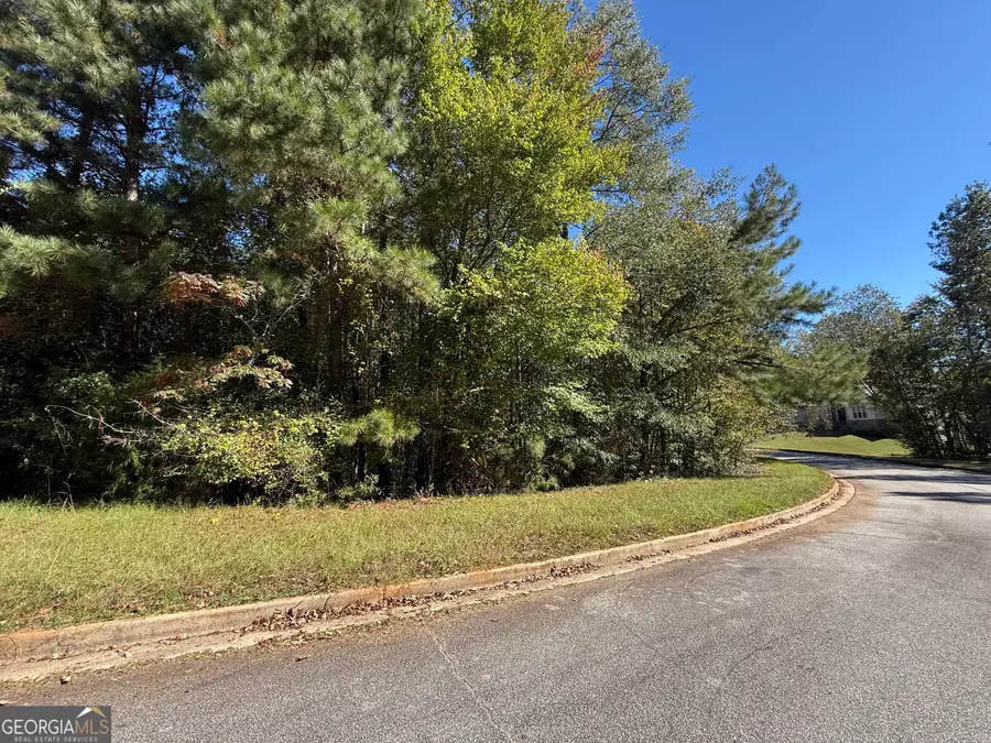 1333 Nickel Oak Bend, McDonough, GA 30252 - #3