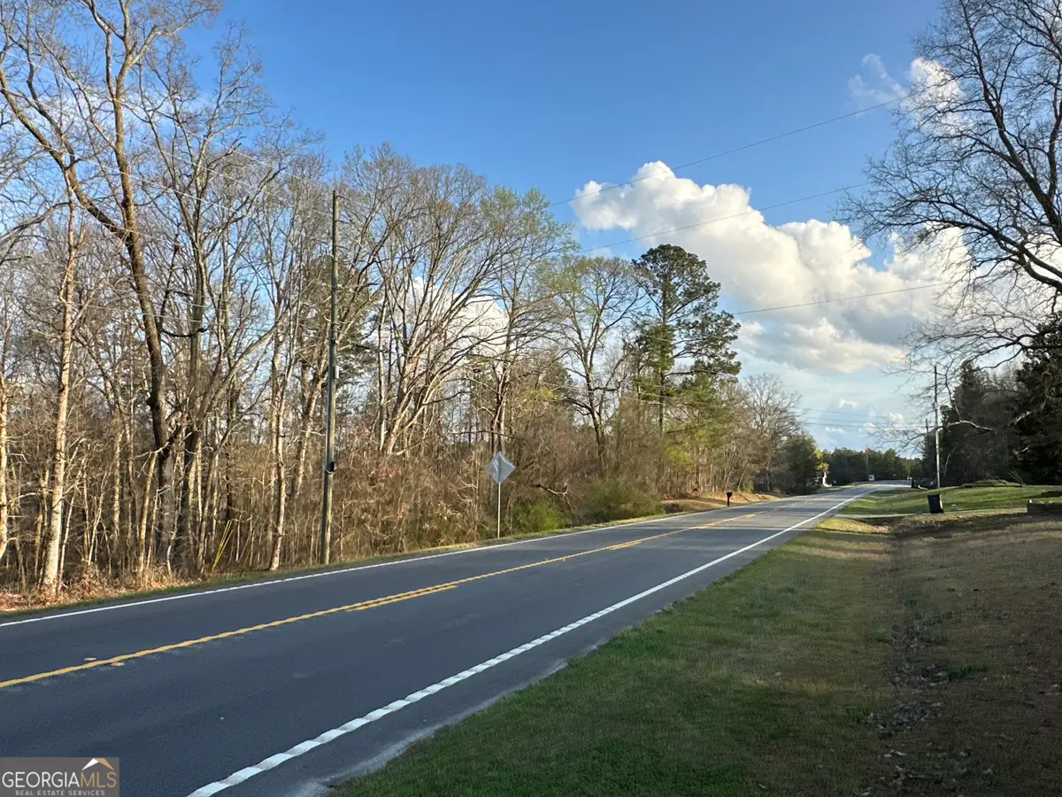 0 Highway 5, Whitesburg, GA 30185 - #1