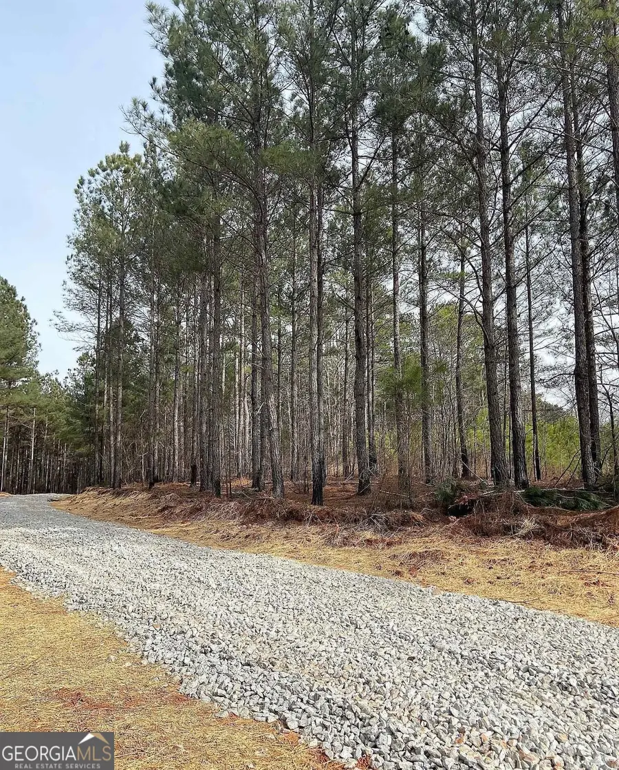 LOT 4 Jaxon Path, Dallas, GA 30157 - #3