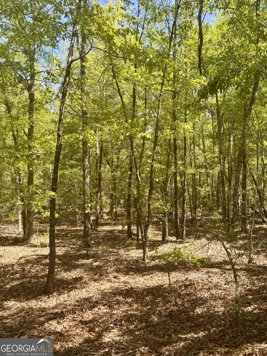 0 Dukes Road, Wadley, GA 30477 - #2