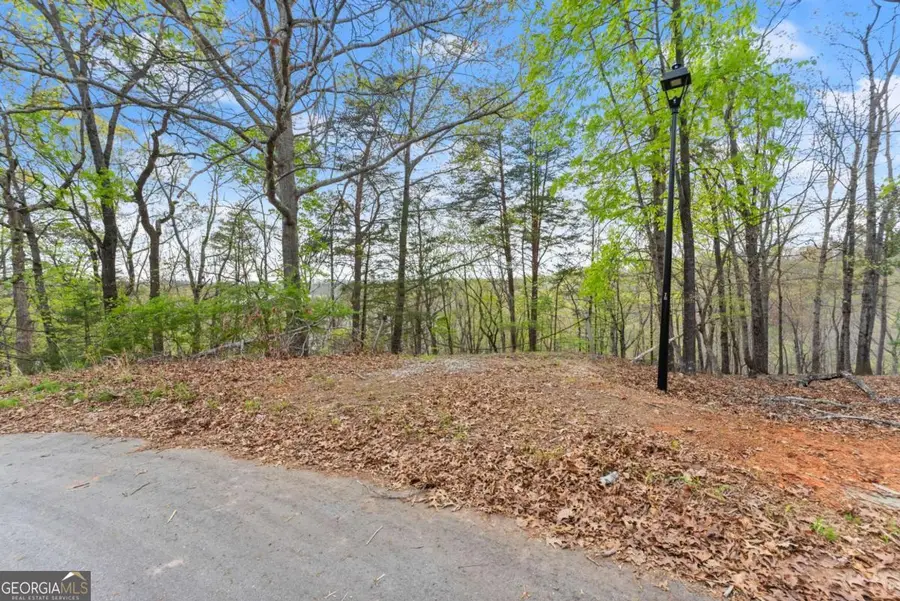 2517 Thompson Overlook, Gainesville, GA 30506 - #3