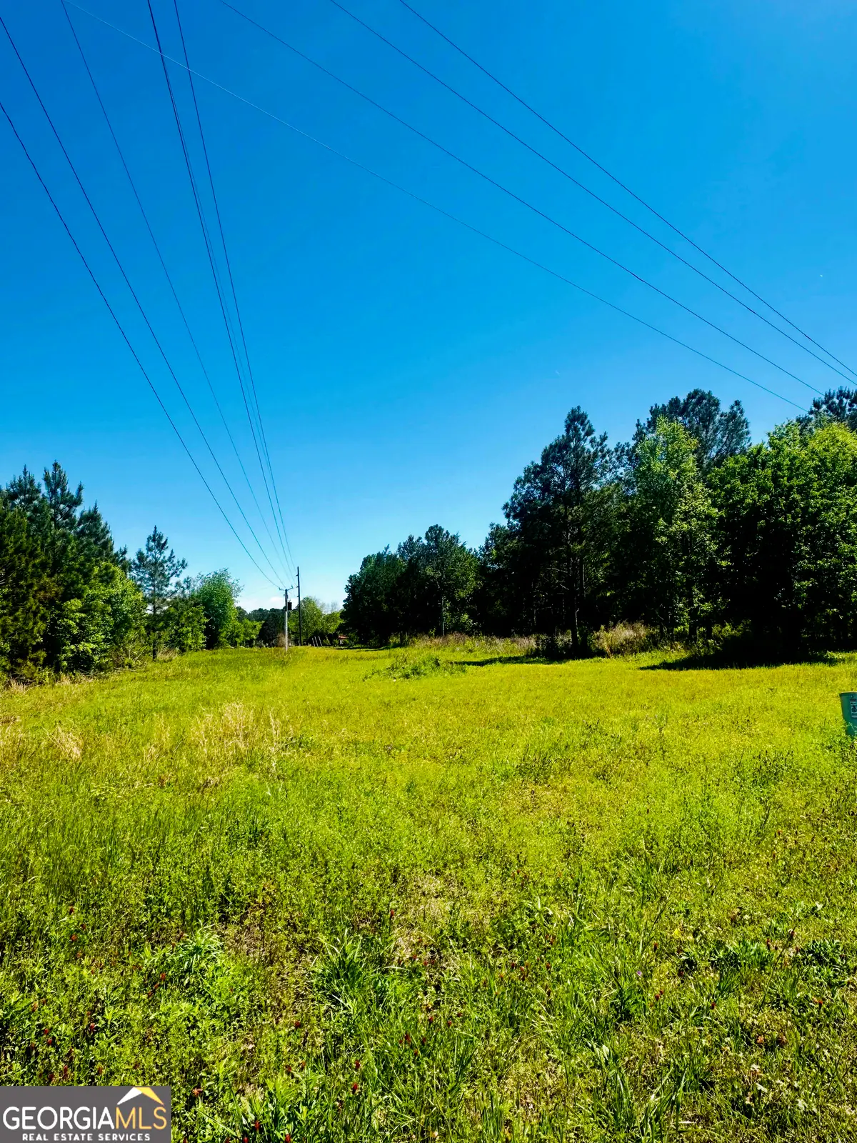 146 Arlington Drive, Americus, GA 31709 - #1