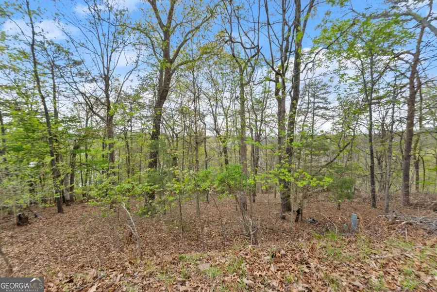 2528 Thompson Ovlk, Gainesville, GA 30506 - #2