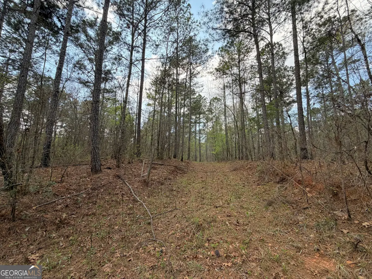 19.74 ACRES Davis Lake Road, Pine Mountain, GA 31822 - #1