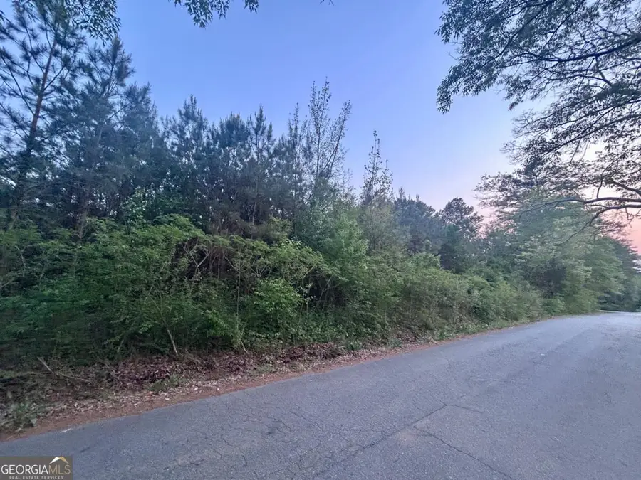 113 Old Alabama Wagon Road, Taylorsville, GA 30178 - #3