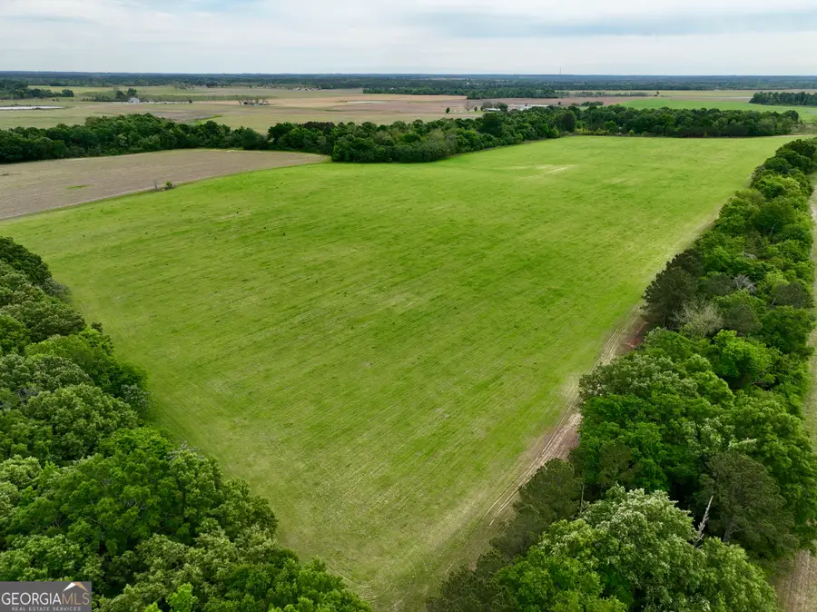 0 Fourteen Lane Road, Hawkinsville, GA 31036 - #3