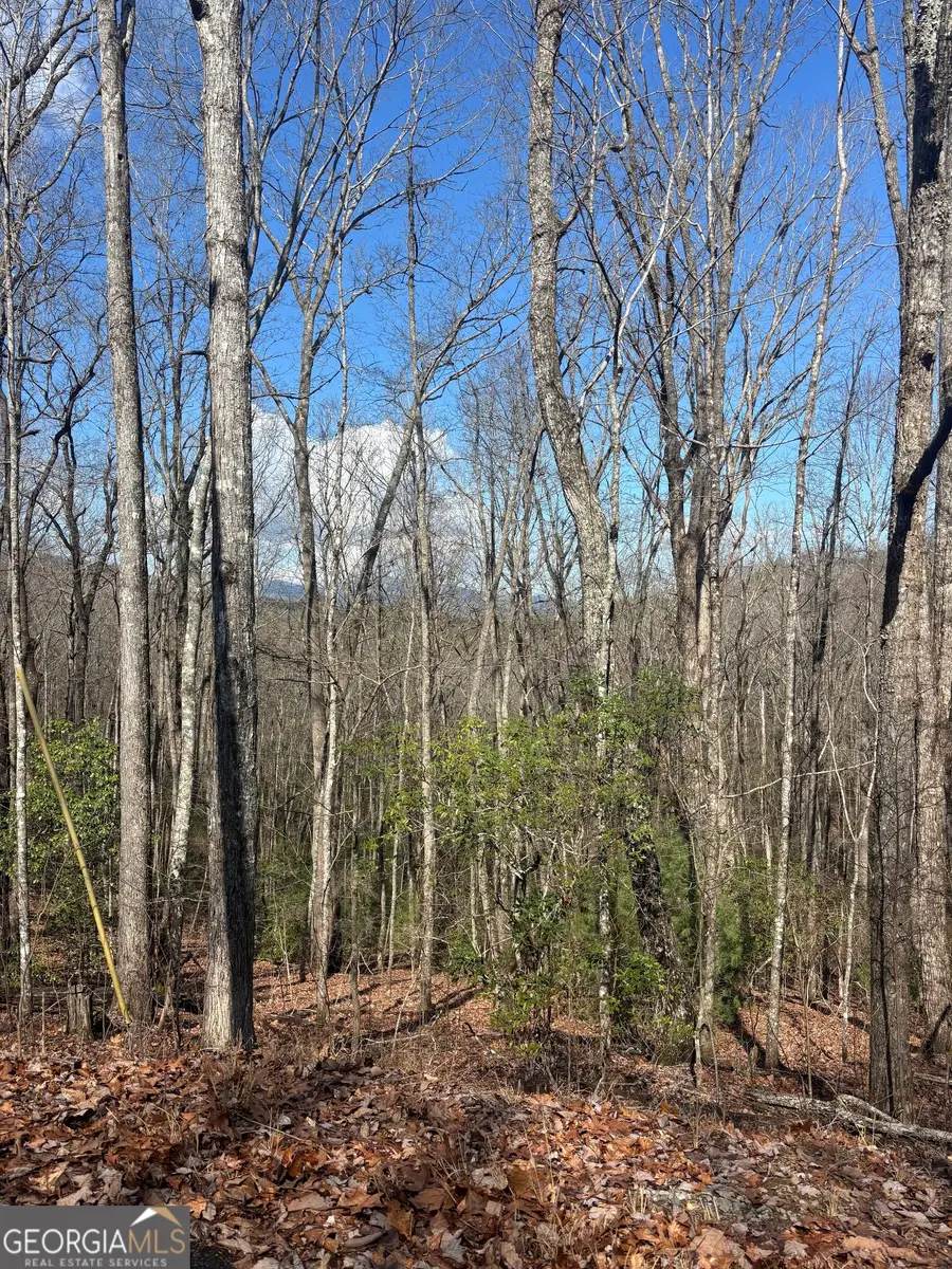 L129/124 Laurel Crossing, Blue Ridge, GA 30513 - #2