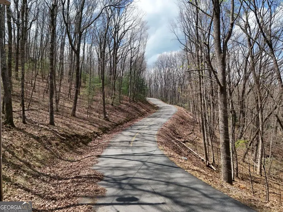 L129/124 Laurel Crossing, Blue Ridge, GA 30513 - #3