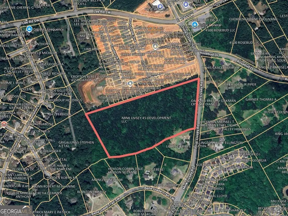 0 Mink Livsey Road, Snellville, GA 30039 - #1