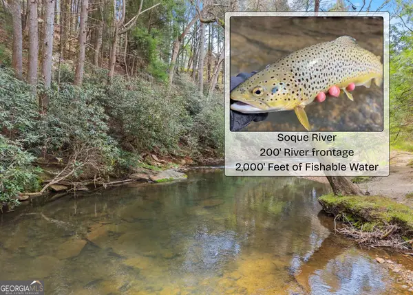 LOT 19 Soque Circle, Clarkesville, GA 30523