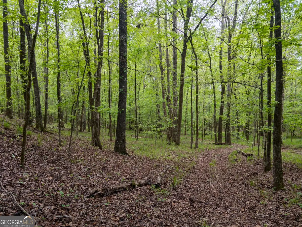 V/L Georgia Kaolin Road, Dry Branch, GA 31020 - #1