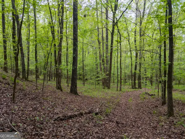 V/L Georgia Kaolin Road, Dry Branch, GA 31020