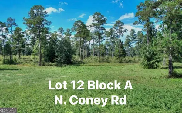 TBD N Coney Rd Lot 12 Block A, Cordele, GA 31015