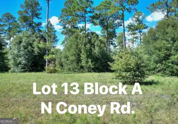 TBD N Coney Rd Lot 13 Block A, Cordele, GA 31015