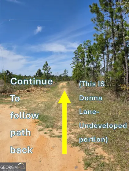 00 Serenity Lane, Vidalia, GA 30474 - #2