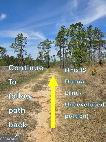 00 Serenity Lane, Vidalia, GA 30474 - #3