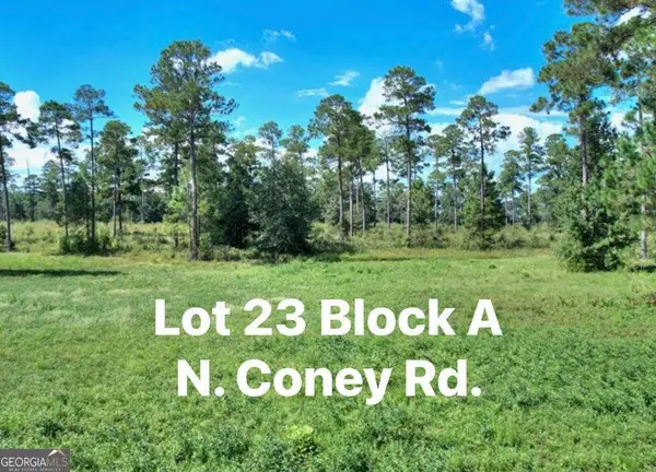 TBD N Coney Rd Lot 23 Block A, Cordele, GA 31015