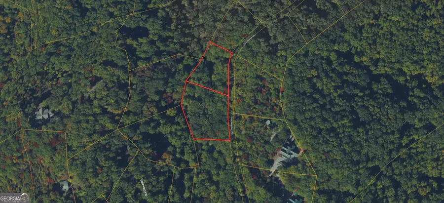 0 Picklesimer Mtn Trail, Morganton, GA 30560 - #2