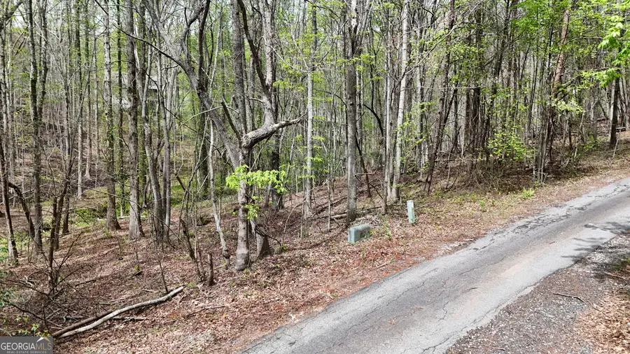 0 Shenandoah Drive, Cleveland, GA 30528 - #3