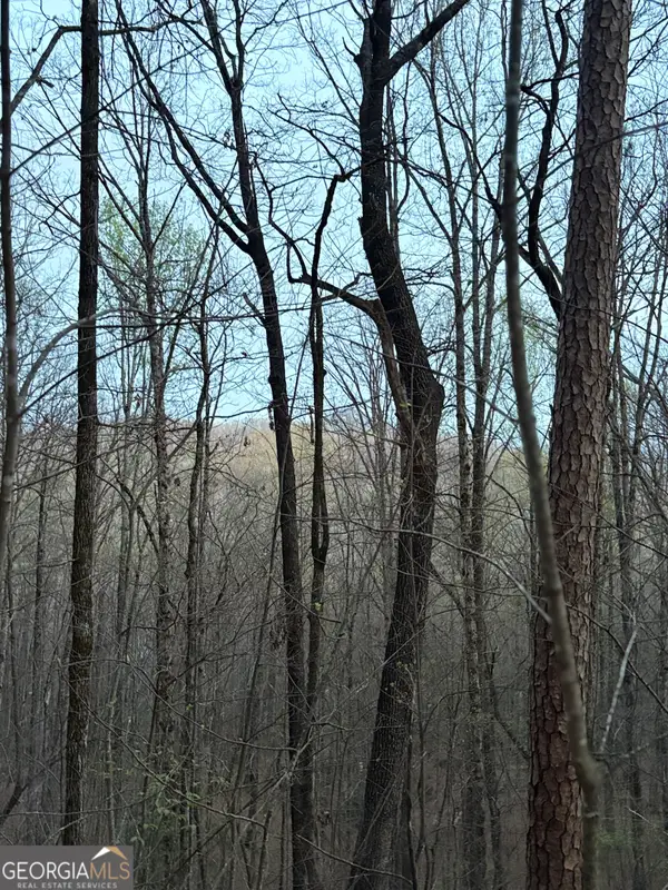 0 Highway 197, Clayton, GA 30525