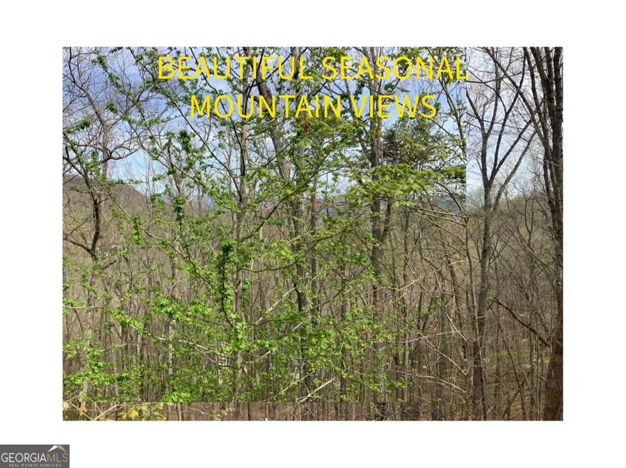 7026 Peebles Road, Young Harris, GA 30582 - #2