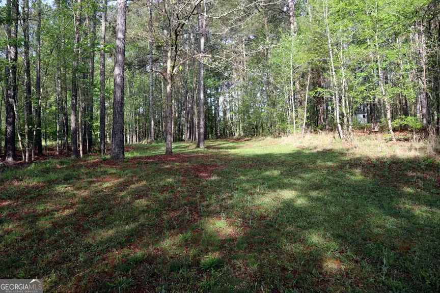 278 Quesenberry Drive Se, Eatonton, GA 31024 - #3