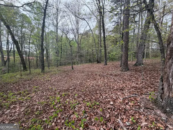 0 N County Line Road, Alto, GA 30510