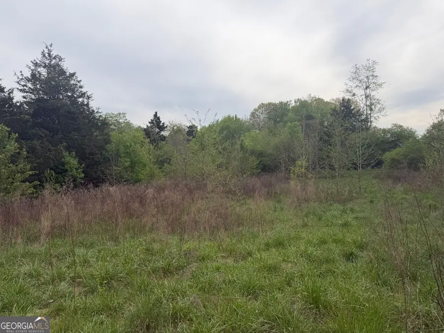 0 N County Line Road, Alto, GA 30510 - #3