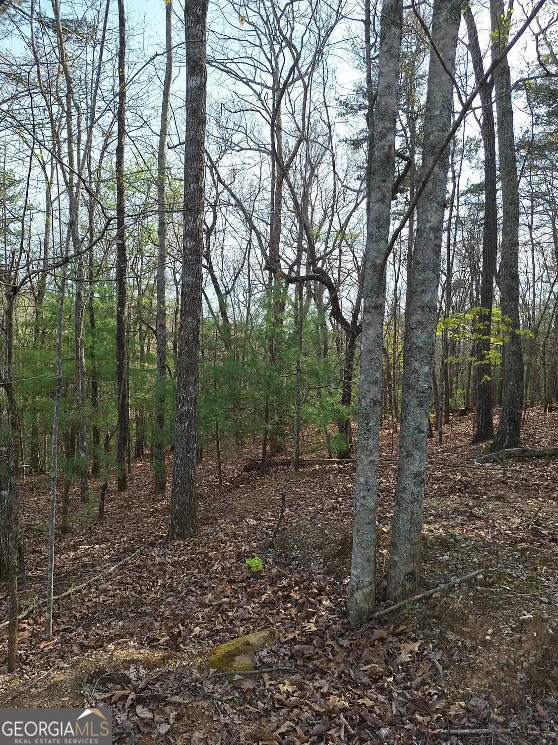 0 Mull Lane Circle, Morganton, GA 30560 - #1