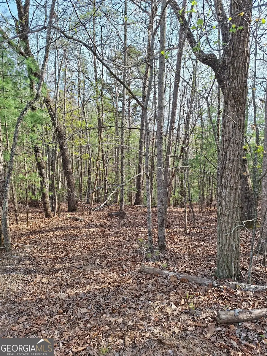 0 Mull Lane Circle, Morganton, GA 30560 - #2