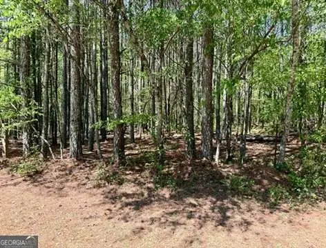 0 Haw Creek Drive, Cumming, GA 30041