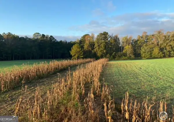 55 +/- AC Mt Carmel, Senoia, GA 30276