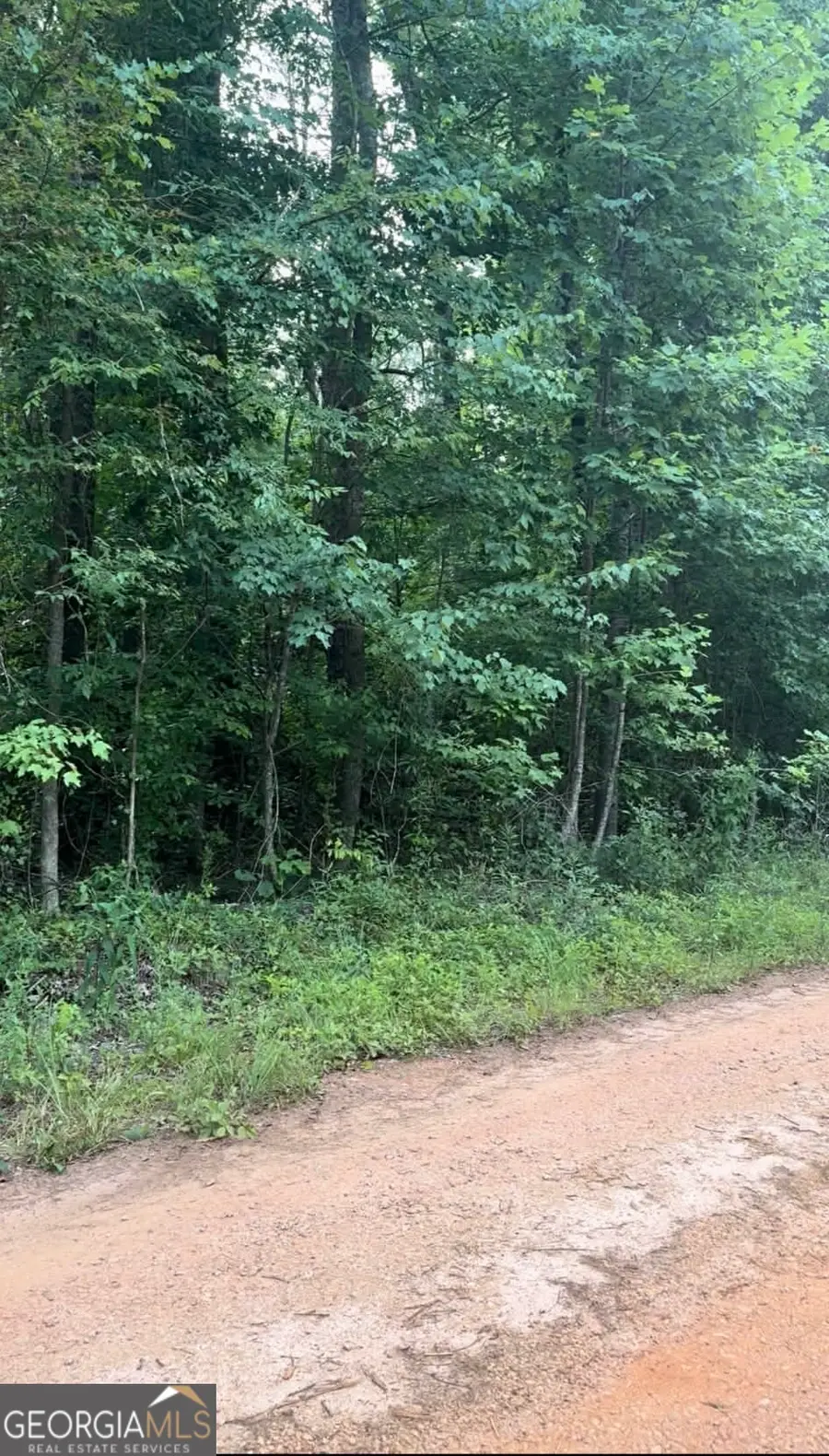 0 Morris Trail Lot 1, Carnesville, GA 30521 - #2