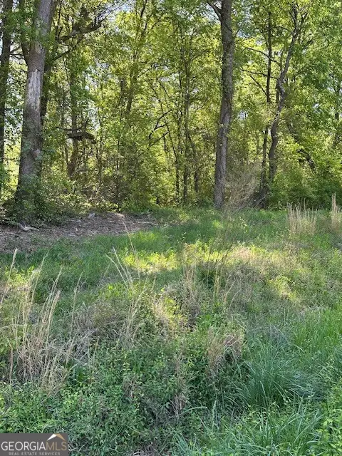 815 Aj Irvin, Talmo, GA 30575 - #1