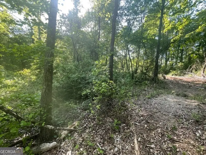 815 Aj Irvin, Talmo, GA 30575 - #3