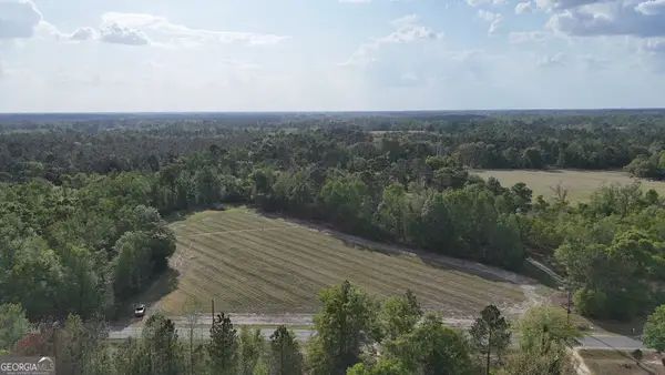 TRACT 4 Spring Branch Road, Baxley, GA 31513