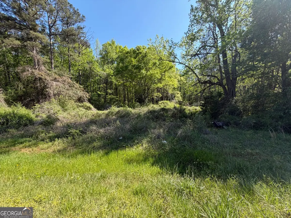 1574 Mt Bethel Road, McDonough, GA 30252 - #1