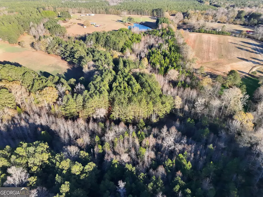 8365 Mt Carmel, Senoia, GA 30276 - #3