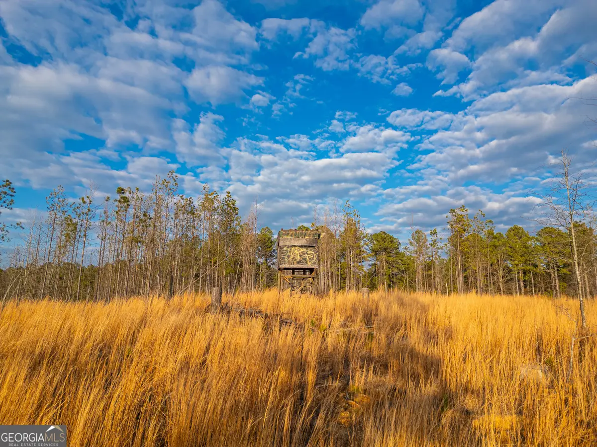 1 Smith Rocky Branch Road, Carlton, GA 30627 - #1