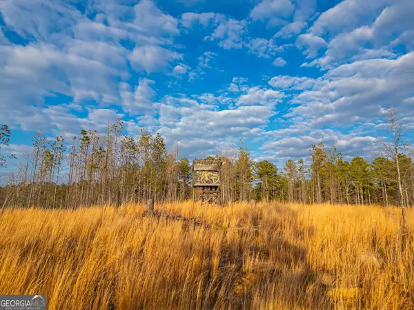 1 Smith Rocky Branch Road, Carlton, GA 30627