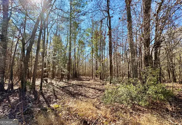 0 Cross Cedar Road, Wrightsville, GA 31096