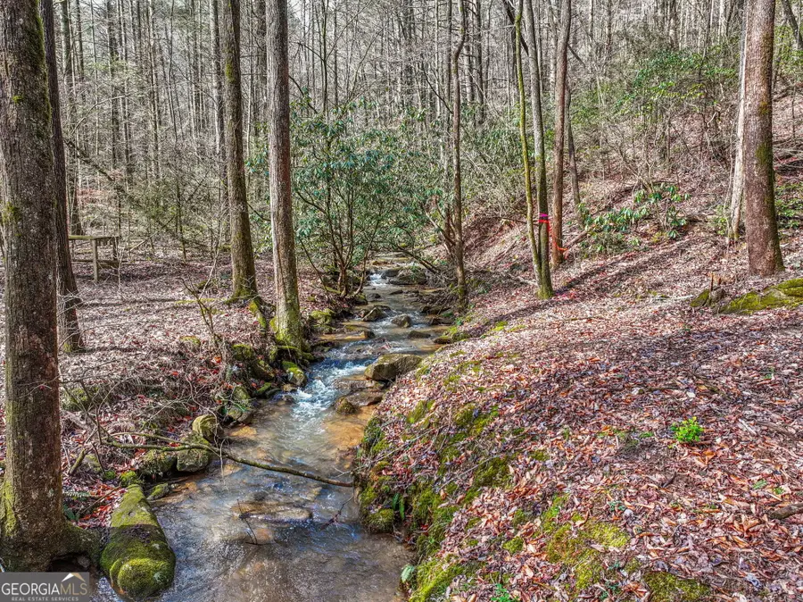641 Bryant Farm Lane, Ellijay, GA 30540 - #2