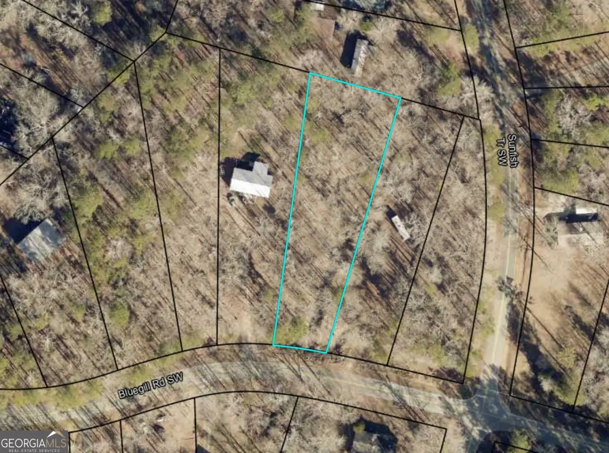 204 Bluegill Road, Eatonton, GA 31024 - #1