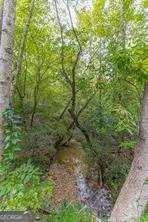 4033 Hidden Hollow Drive, Gainesville, GA 30506