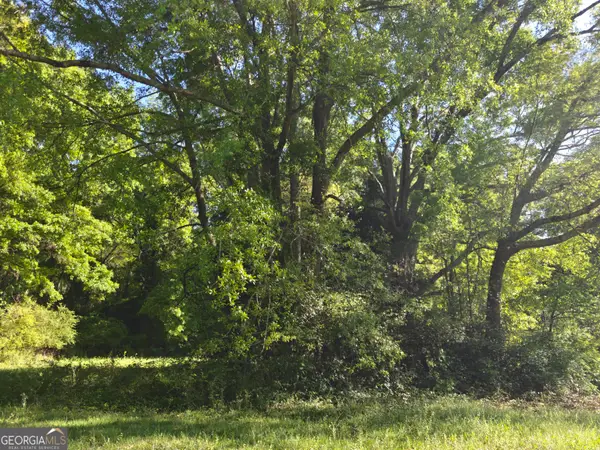 0 Crook Street, Senoia, GA 30276