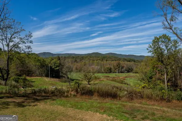 7590 Mobile Road, Blue Ridge, GA 30513